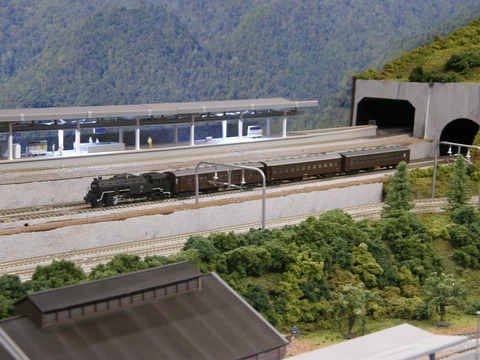 P6030018