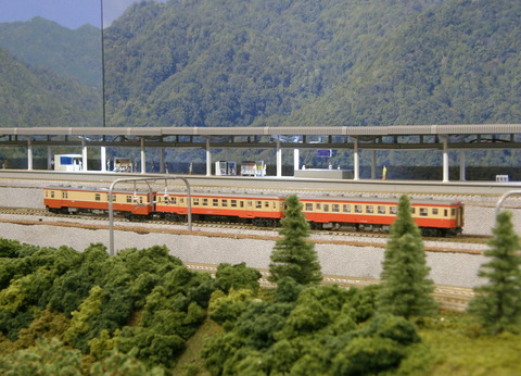 P6030040
