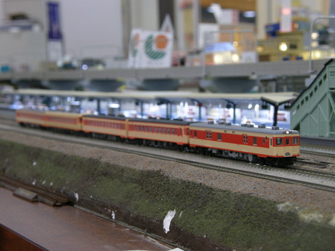 PA260075