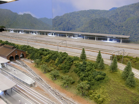 P6030004