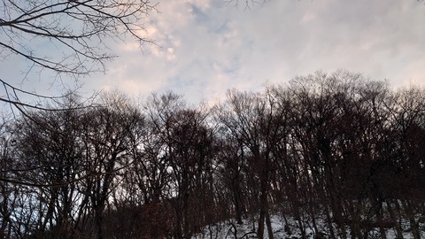 DSC_2883