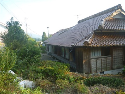 P1240644_s