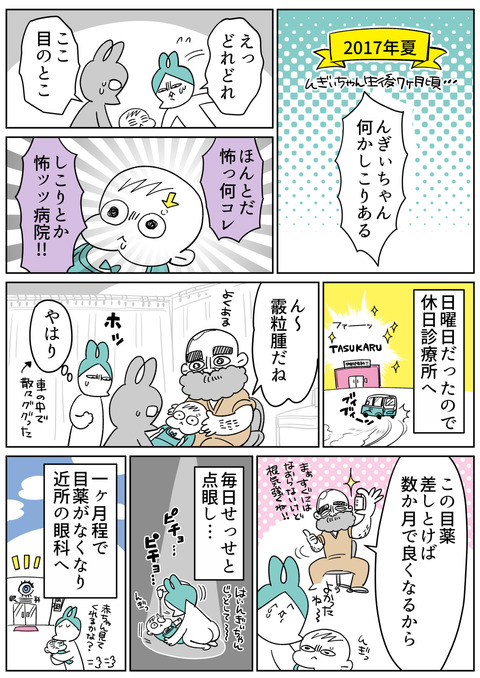 オピニオン1