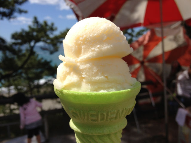 アイスクリン@岩松冷菓(高知県) : ホーク(ネジ夫)の挑戦