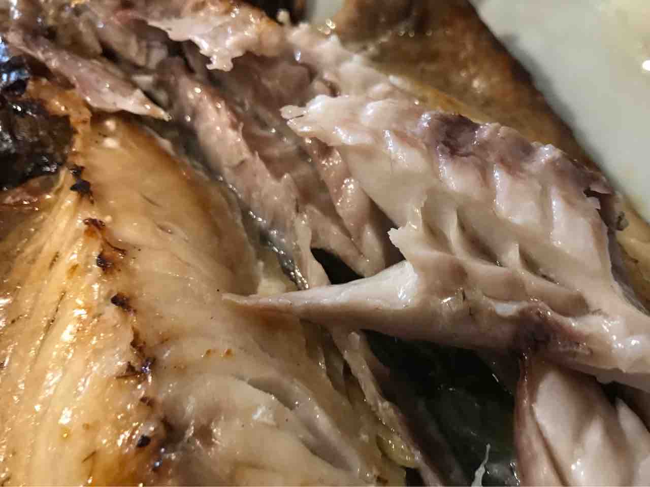 炭火ひもの食堂 塩之屋 松本市 ホーク ネジ夫 の挑戦 炭火ひもの食堂 塩之屋 松本市 ホーク ネジ夫 の挑戦