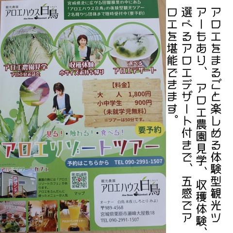 一推し生産現場アロエハウス (8)