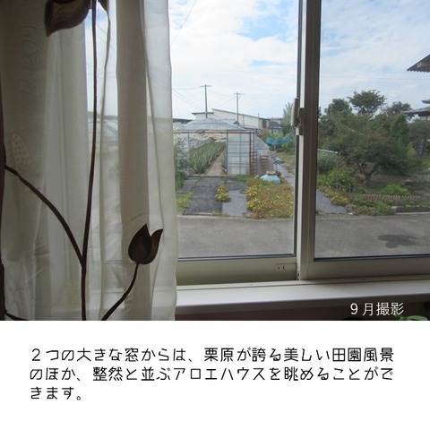 アロエリゾートカフェ (7)