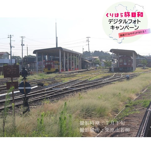 kuriharashibafukouenn (3)