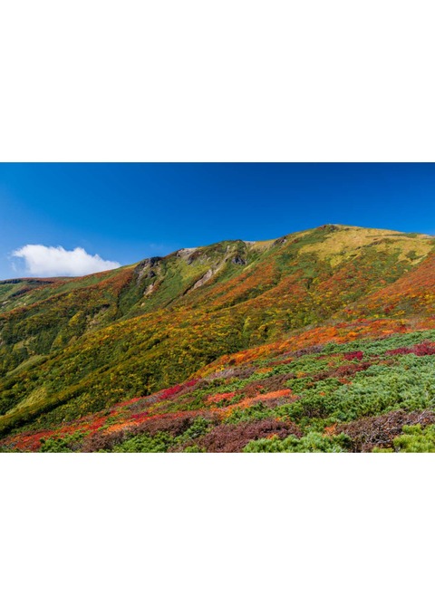 【写真サンプル】栗駒山_(1)_page-0001