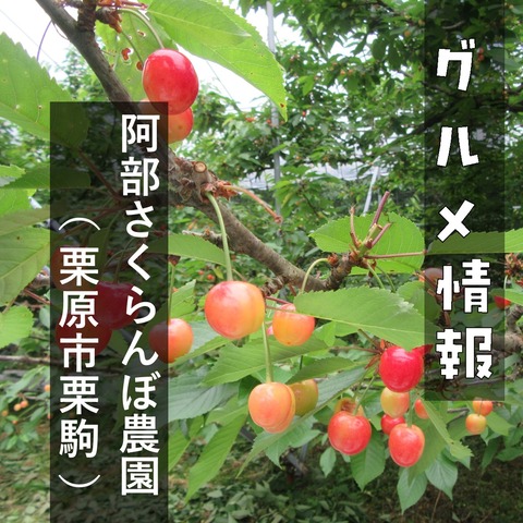 さくらんぼ (1)