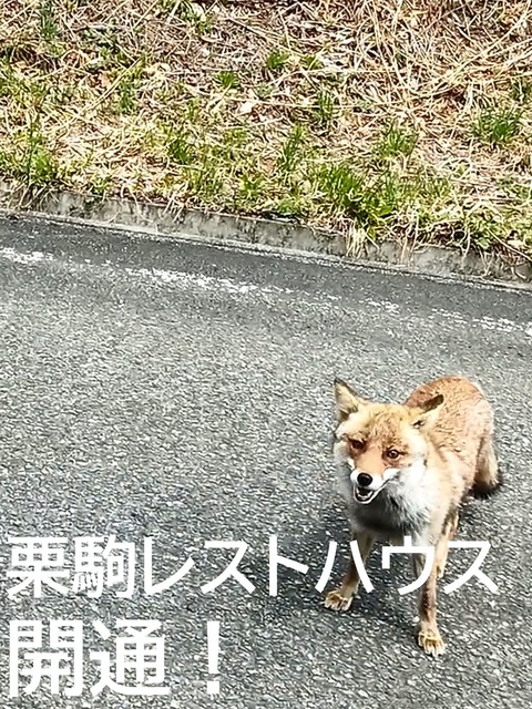 スライド1