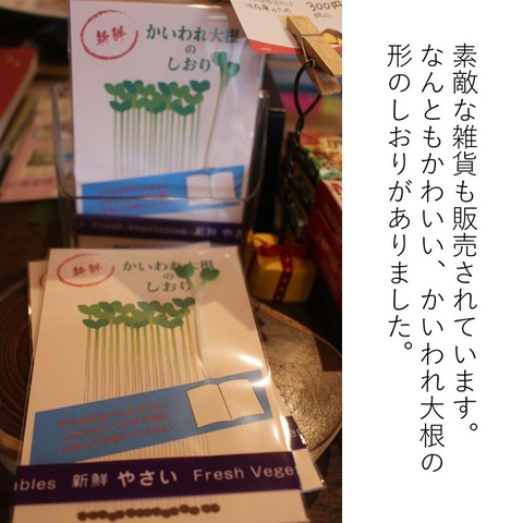ナマケモノ書店 (5)