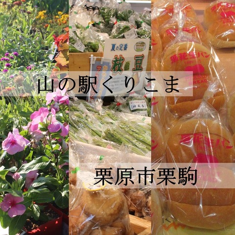 山の駅くりこまR707 (1)