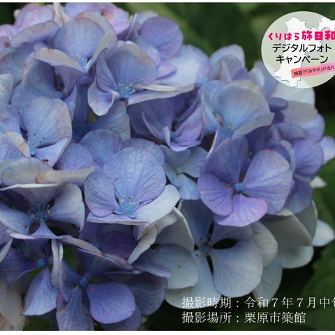 薬師如来 (2)