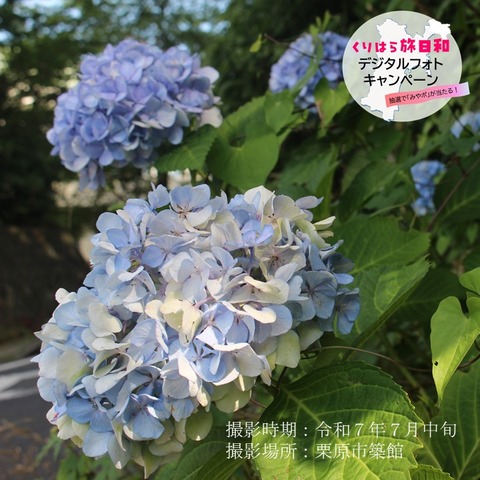 薬師如来 (4)