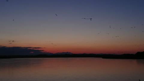 DSC_4982