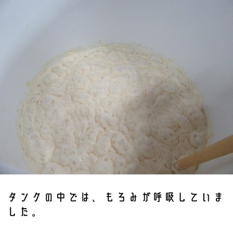 スライド4