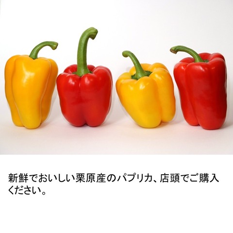 イマジン(パプリカ) (8)