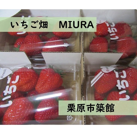 いちご畑MIURA
