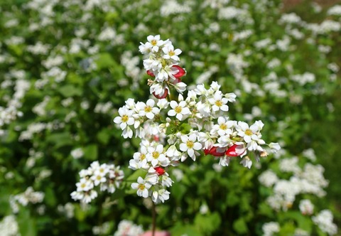 写真 2