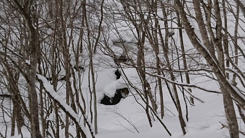 DSC_5314