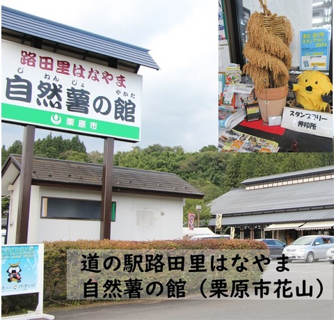 ねじりほんにょ (4)