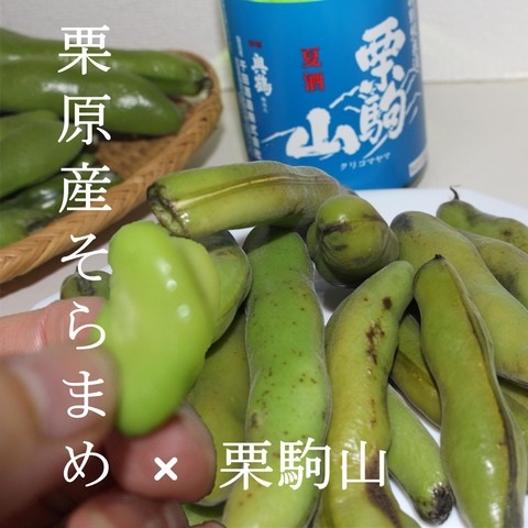 そらまめ×千田酒造 (1)