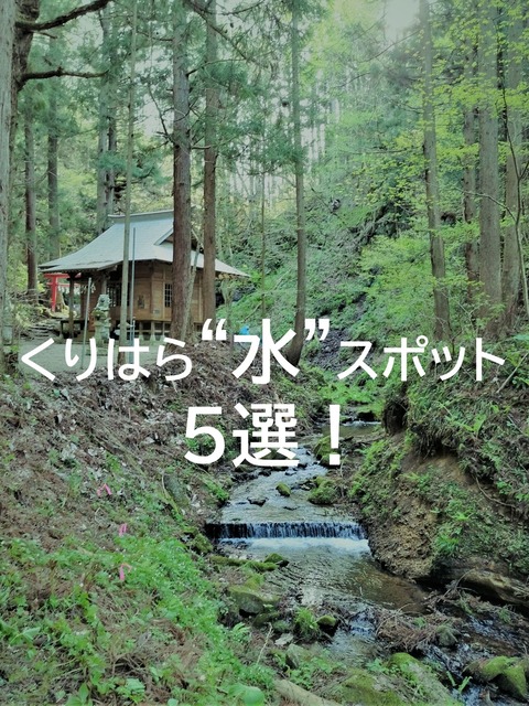 01表紙
