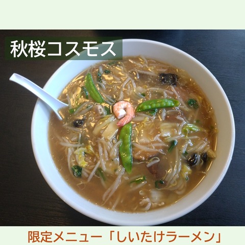 スライド1