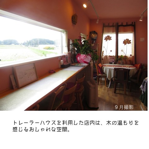 アロエリゾートカフェ (6)