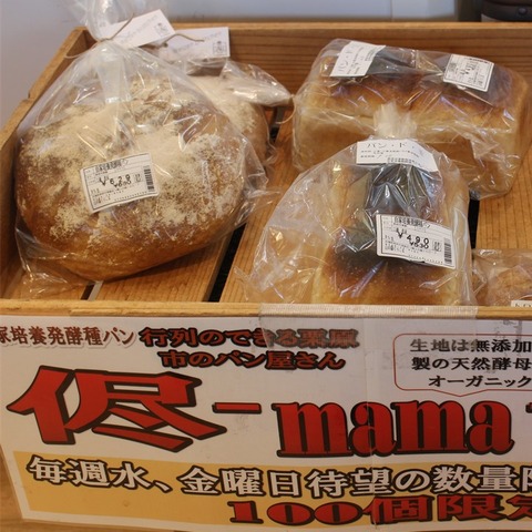 山の駅くりこまR707 (8)