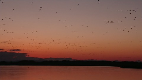 DSC_5000