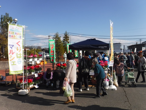 写真１