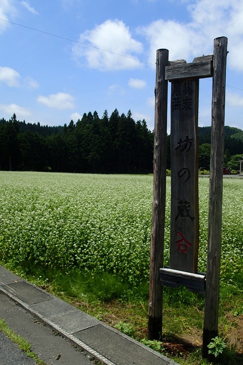 写真4