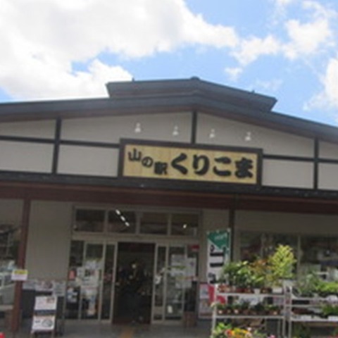 山の駅くりこまR707 (10)