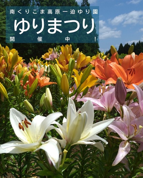 １