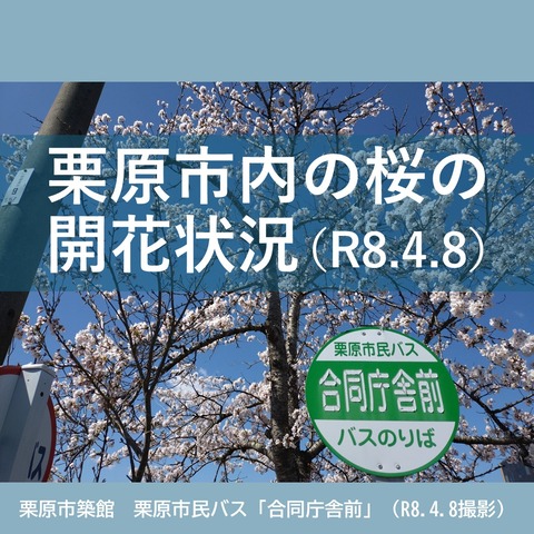 スライド1