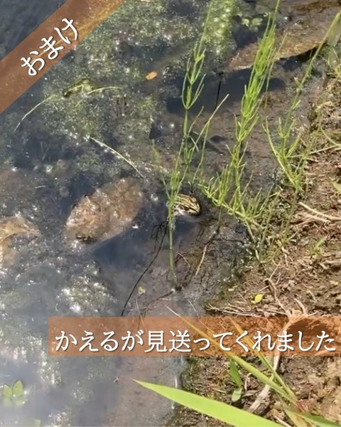 ６