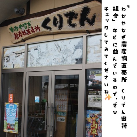 よもぎだパン (7)