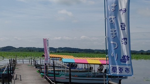 190720_はすまつり001