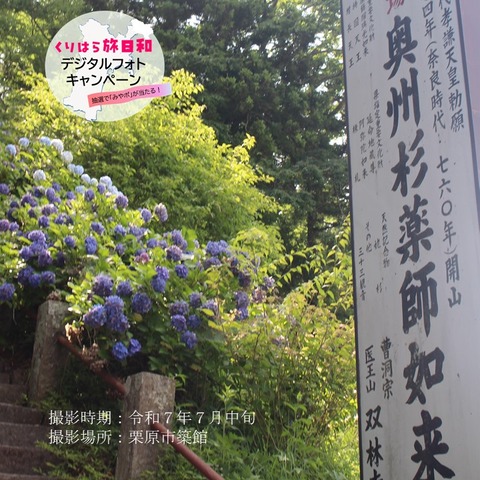 薬師如来 (5)