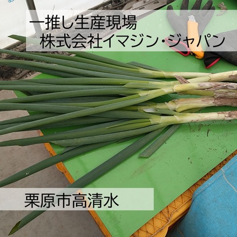 スライド1