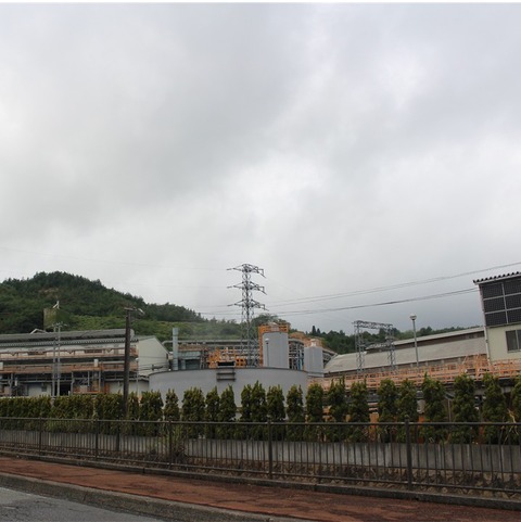 細倉金鉱業 (5)