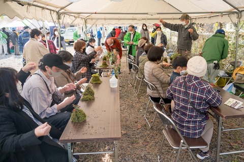 苔玉製作①