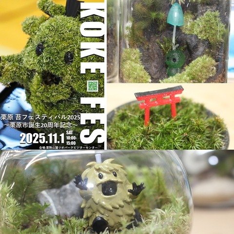 スライド1
