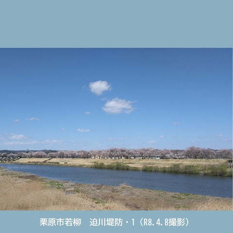スライド8