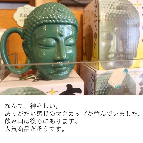 ナマケモノ書店 (8)