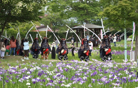 あやめ祭り_鹿踊り①_679A1029