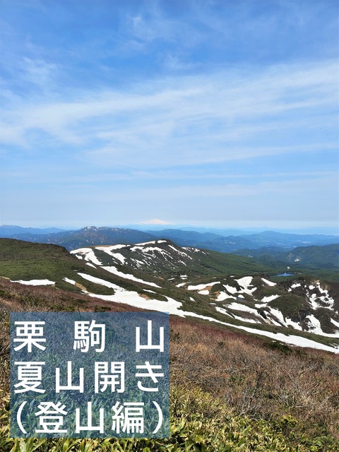 スライド1