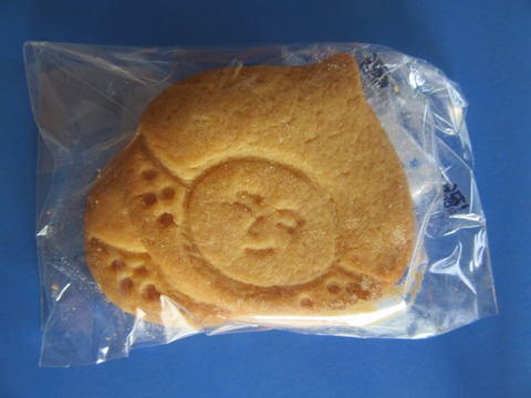 写真３びっくり原くん